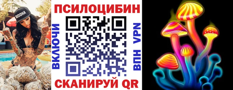 Купить где  Глазов  Псилоцибиновые грибы мицелий 